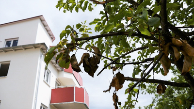 Klimaschutzgesetz Massivbau Klimaschutzgesetz Massivbau